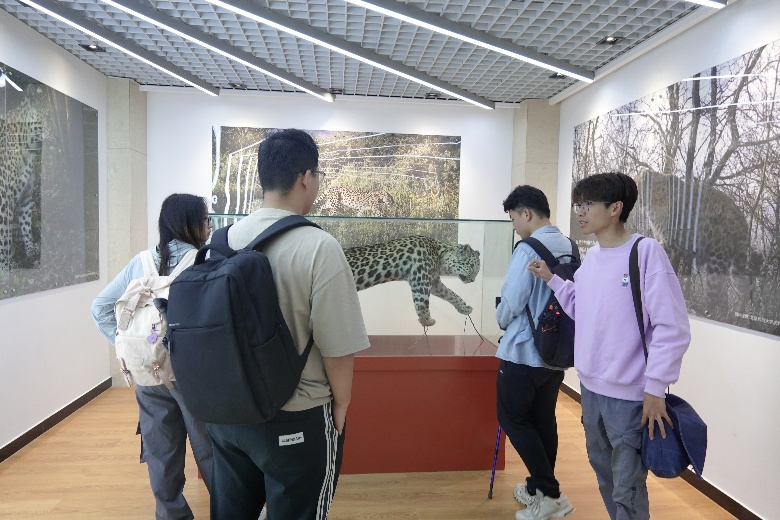 图片18.png 图片18.png