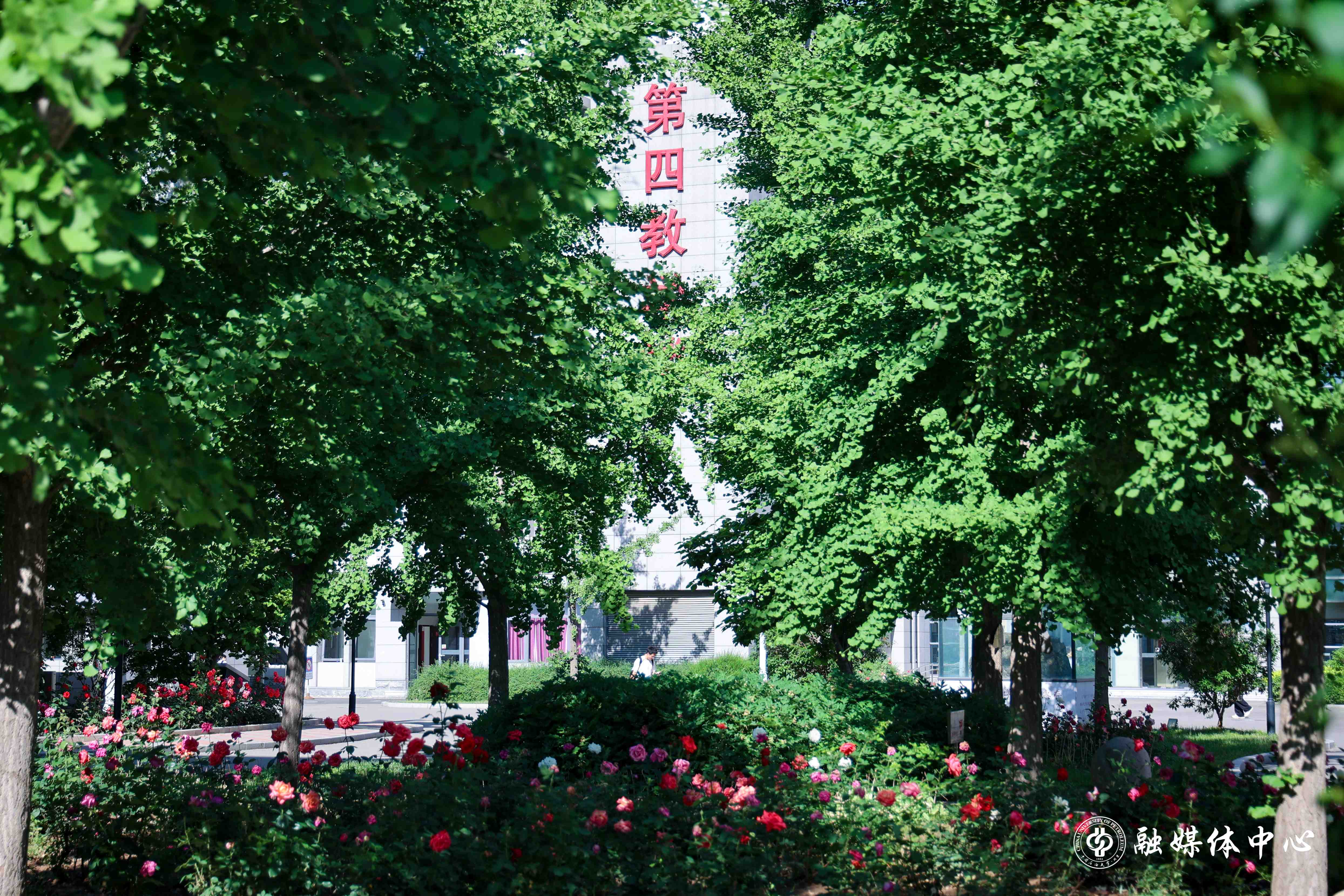 4G4A3575.jpg